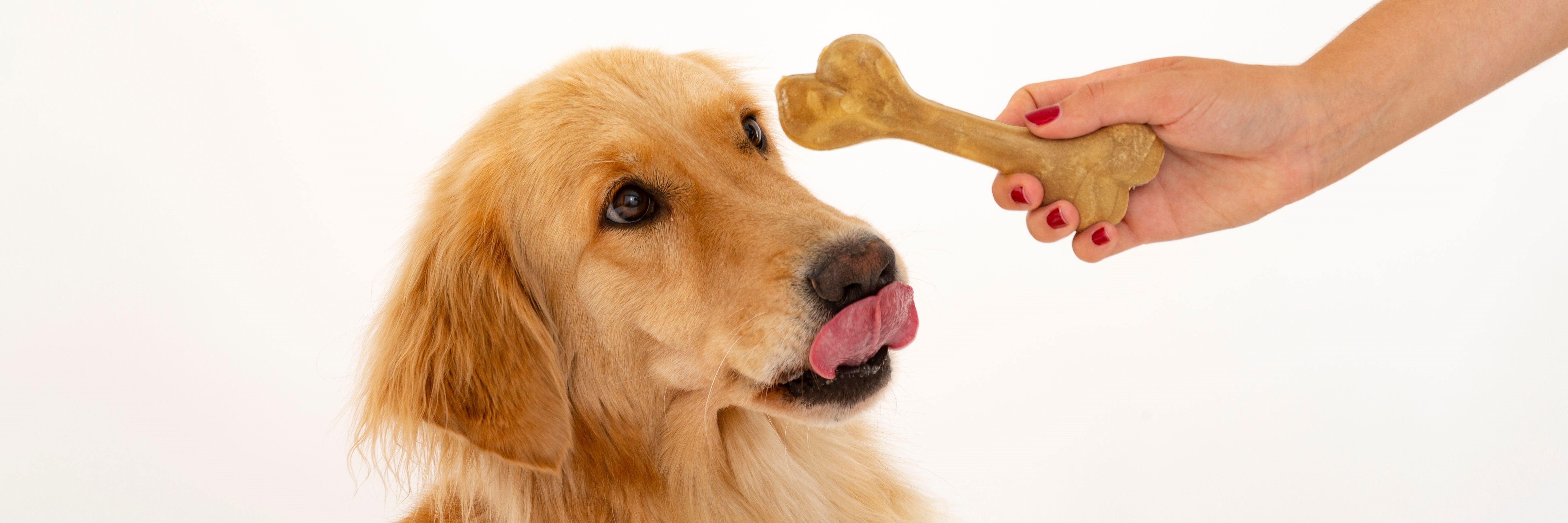 Masticativi e snack dentali per cani