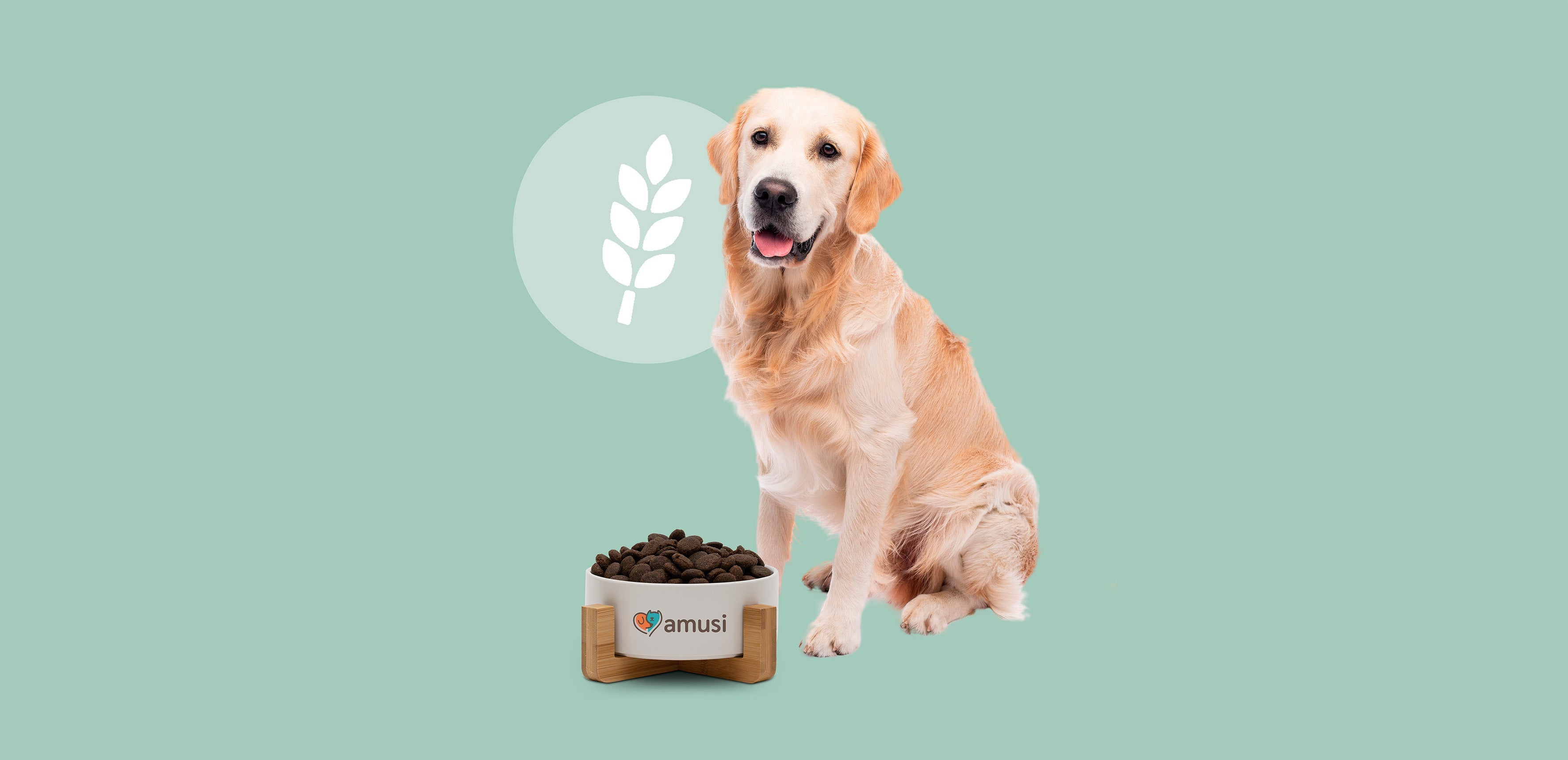 cane con ciotola di crocchette realizzate con cereali nobili