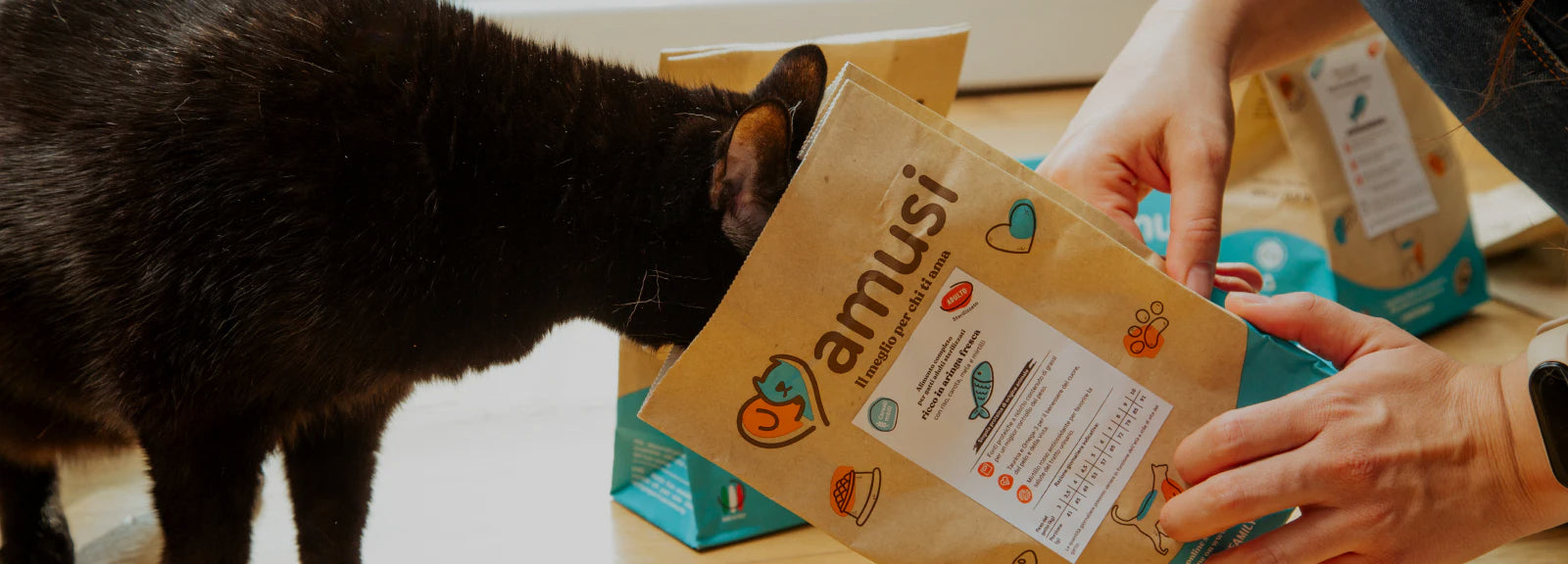 gatto con la testa nel sacco di croccantini