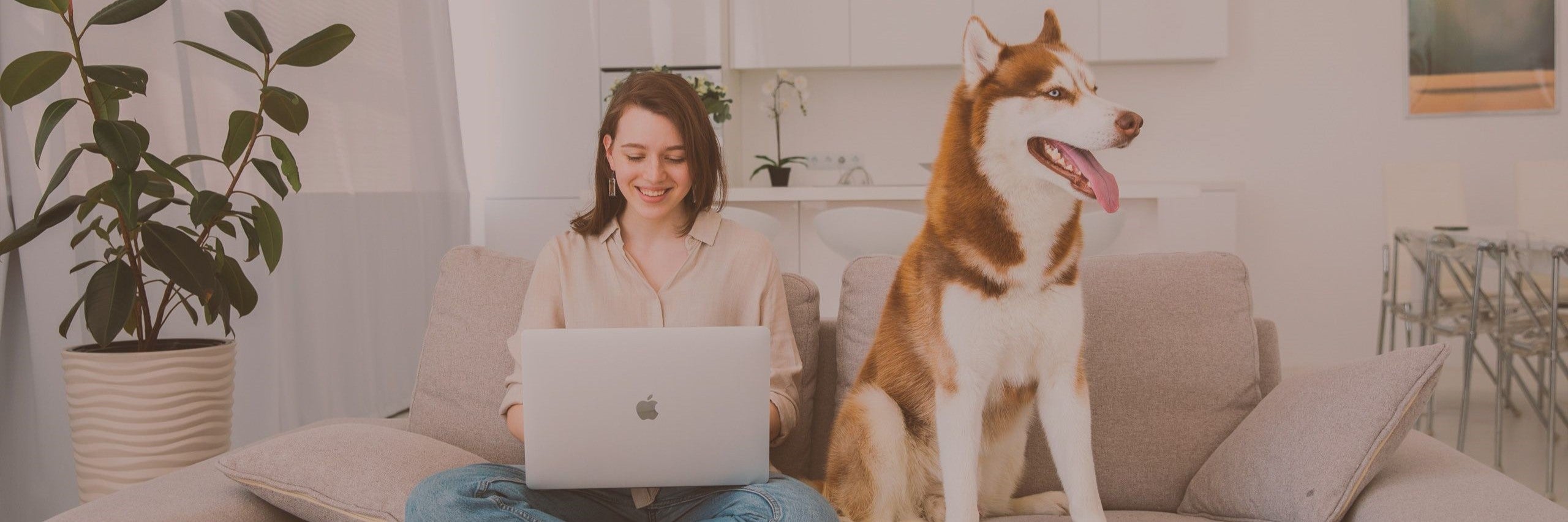 ragazza al computer seduta sul divano insieme al suo cane