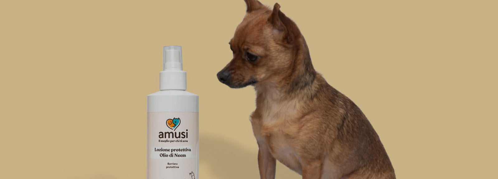 cane affianco ad una confezione di spray antiparassitario