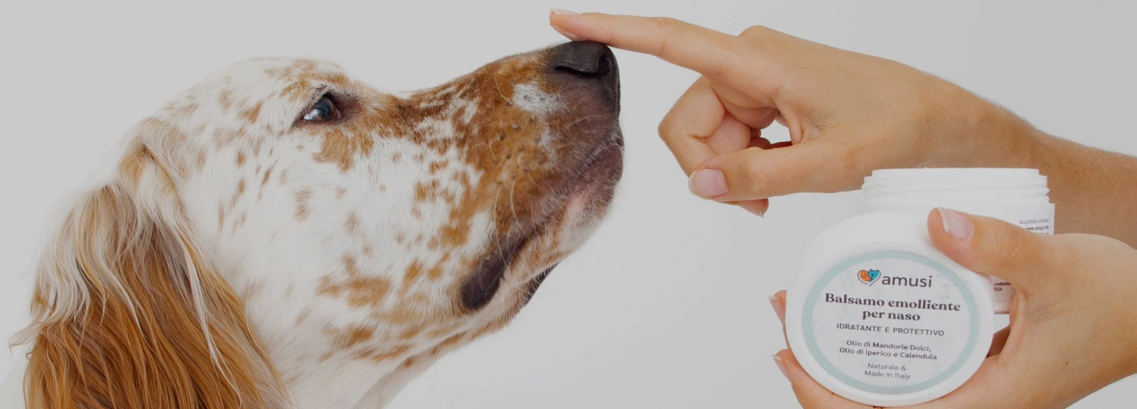 cane a cui viene messa una crema sul naso
