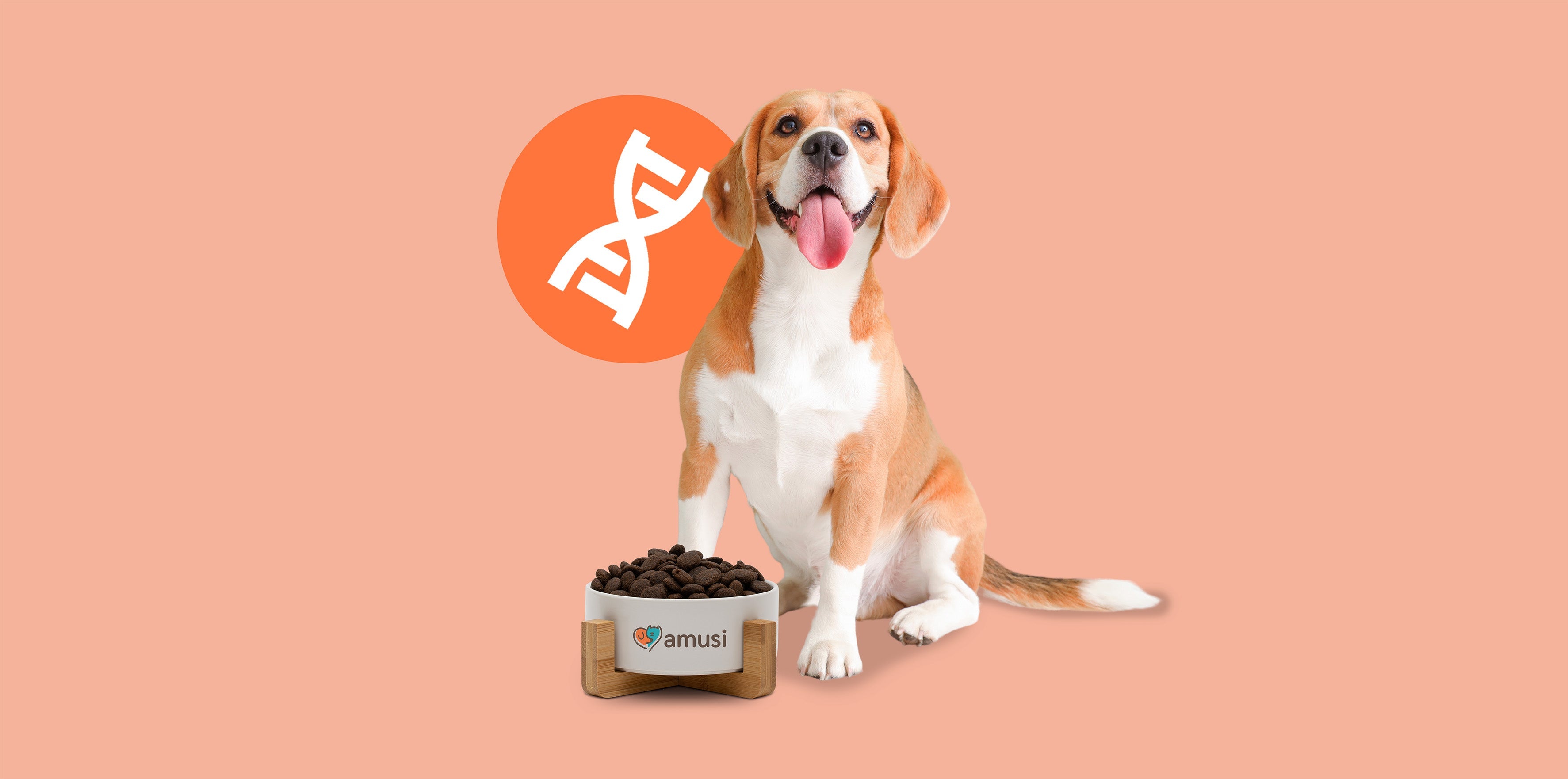 cane con ciotola di crocchette monoproteiche