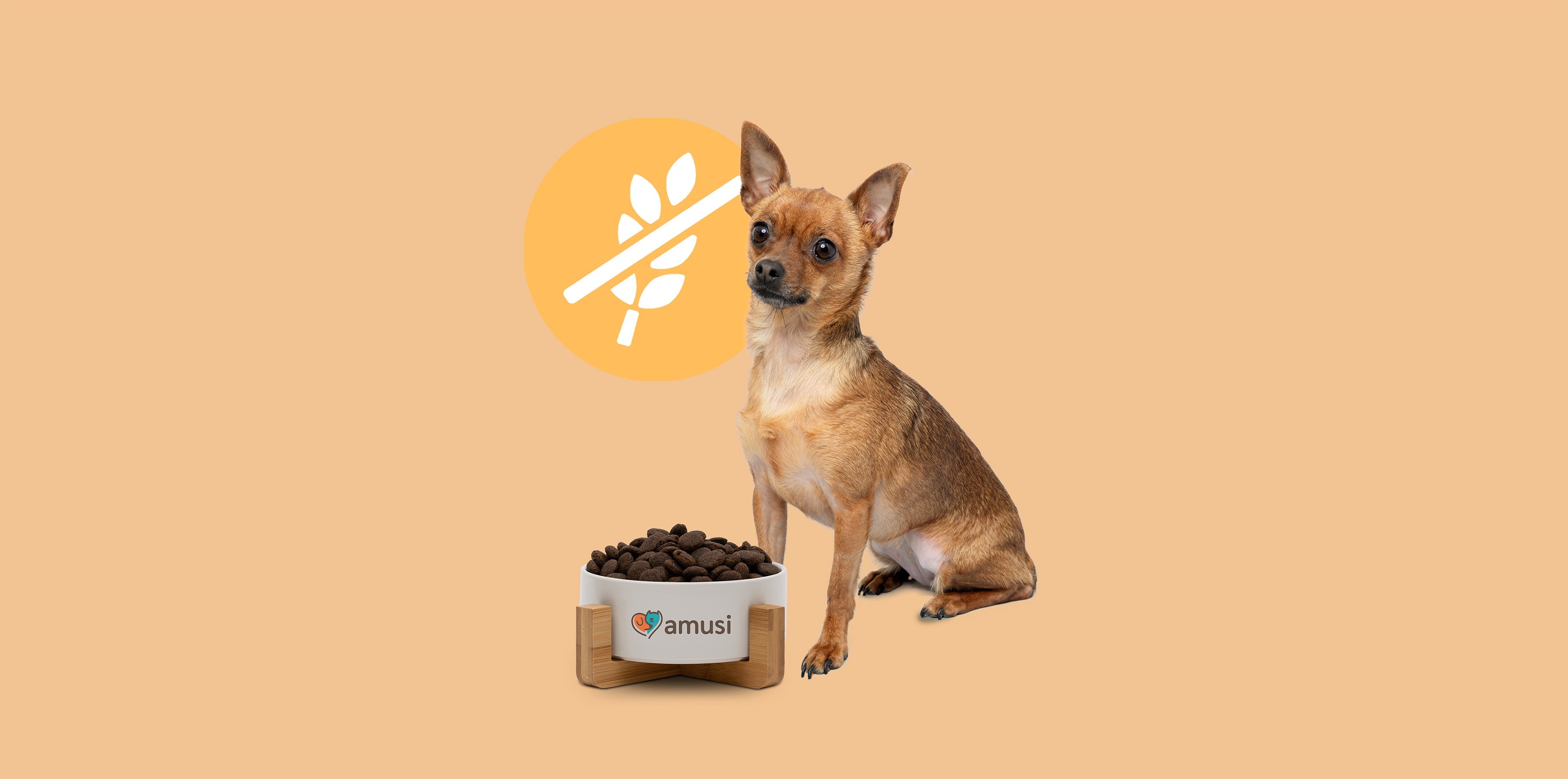 cane con ciotola di crocchette realizzate senza cereali