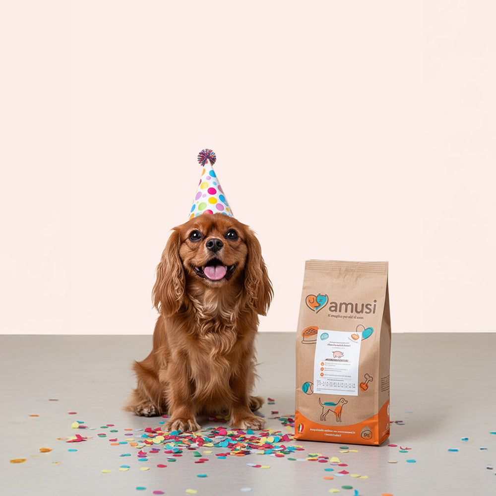 Black Friday: la pappa è scontata! 