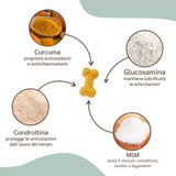 Integratore Articolazioni Cani e Gatti con Condroprotettori