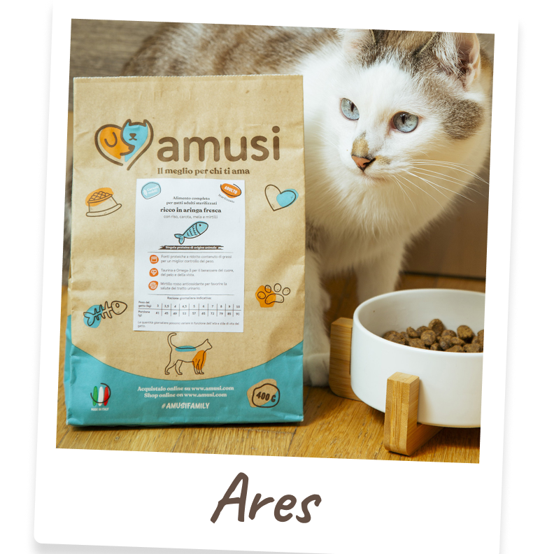 Foto di Ares, gatto che mangia i prodotti amusi
