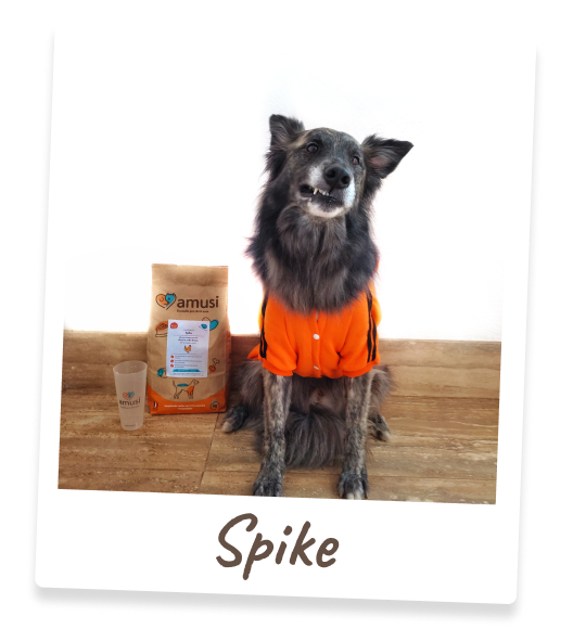 Foto di Spike, cane che mangia i prodotti amusi