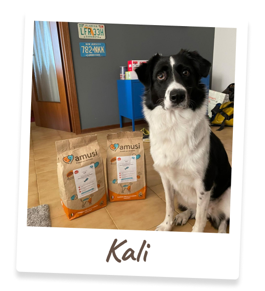 Foto di Kali, cane che mangia i prodotti amusi