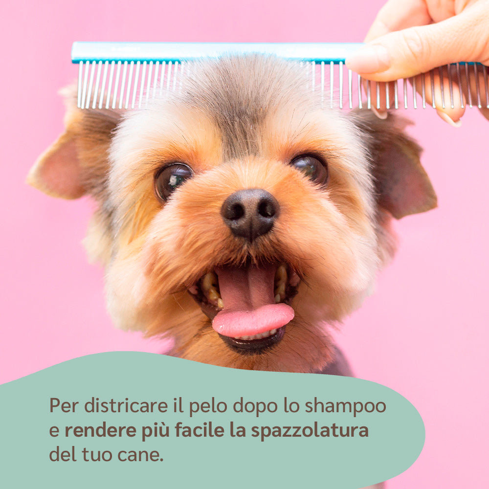 descrizione balsamo