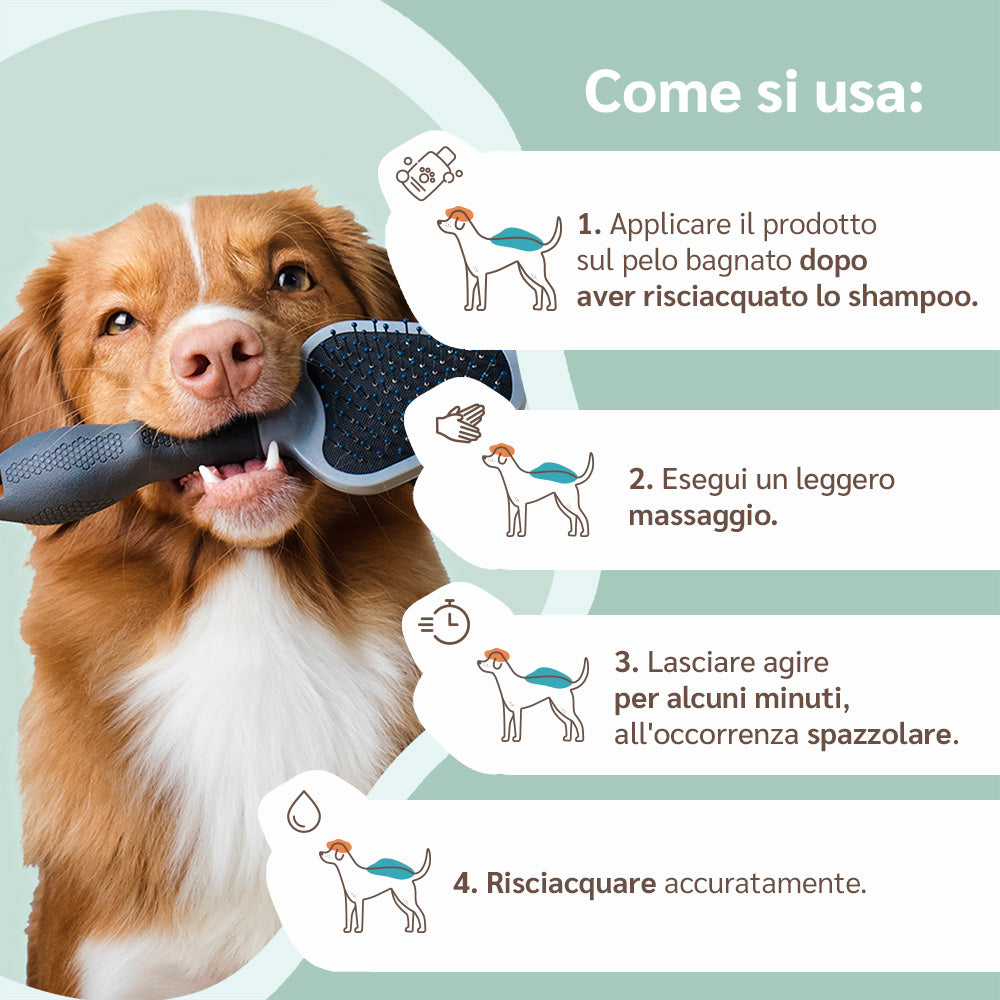 modo d'uso balsamo