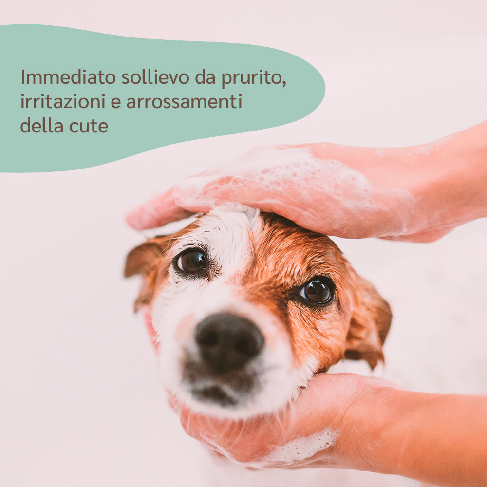 benefici shampoo lenitivo