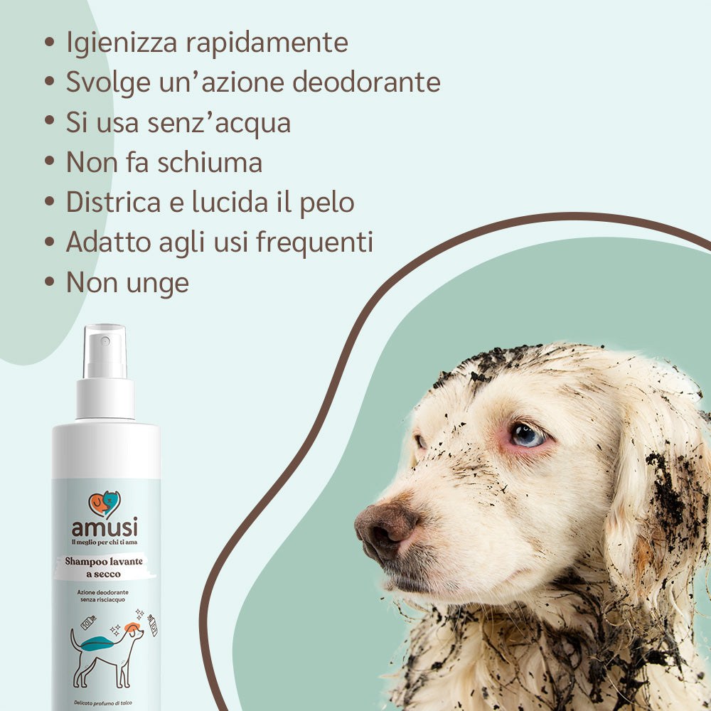 descrizione shampoo secco