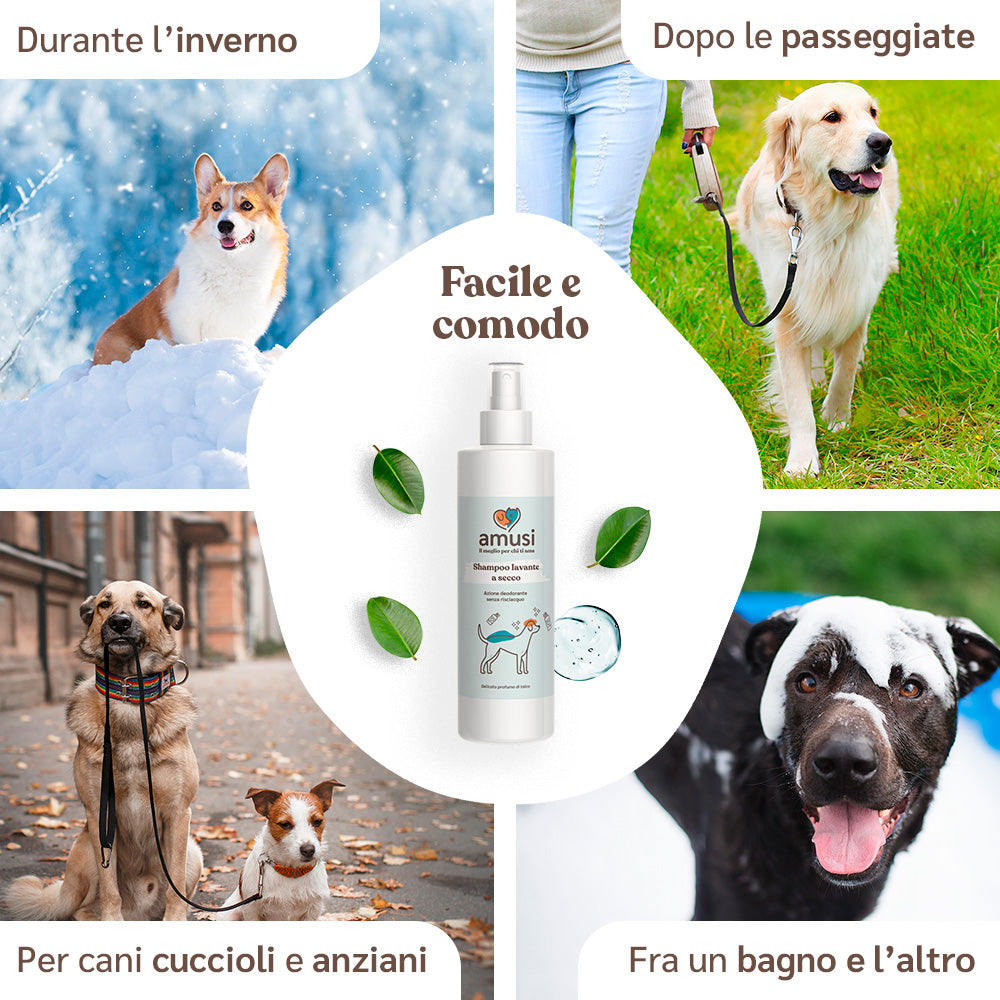 casi d'uso shampoo secco