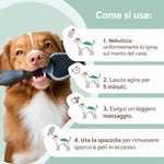 modo d'uso shampoo secco