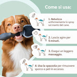 modo d'uso shampoo secco