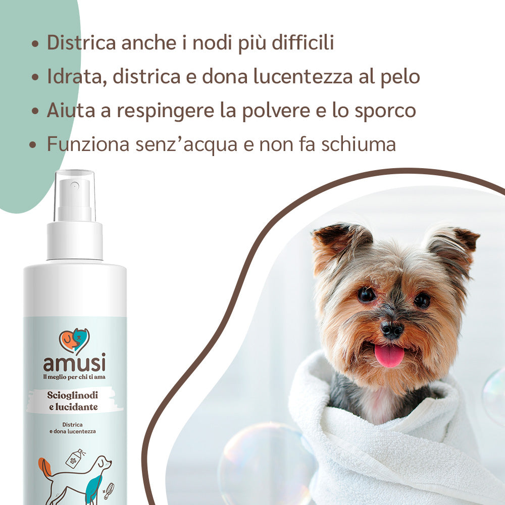 descrizione scioglinodi