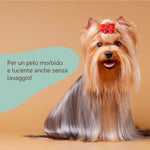descrizione scioglinodi