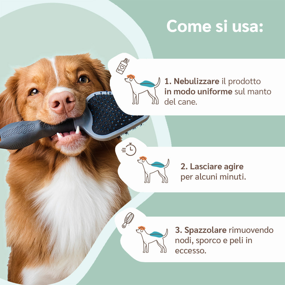 modo d'uso scioglinodi
