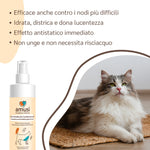 descrizione scioglinodi gatto