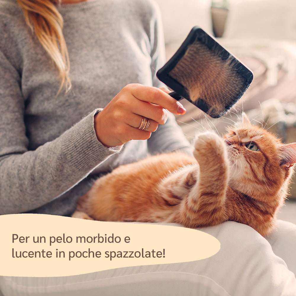descrizione scioglinodi gatto