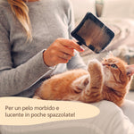 descrizione scioglinodi gatto