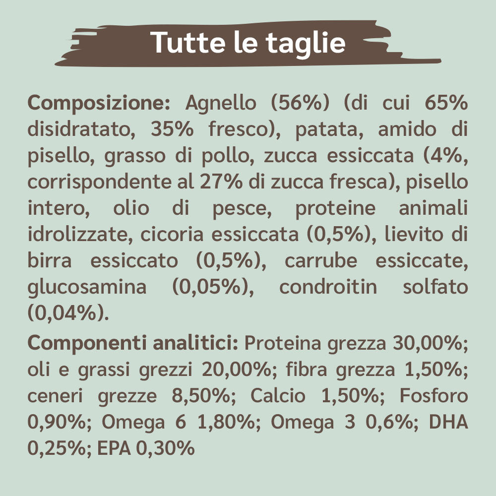 ingredienti crocchette