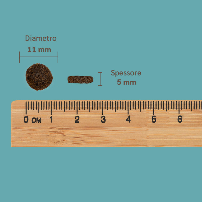 dimensione crocchette