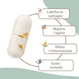 benefici integratore articolazioni amusi