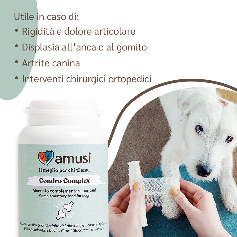 utilità integratore articolazioni amusi