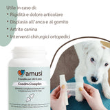 utilità integratore articolazioni amusi