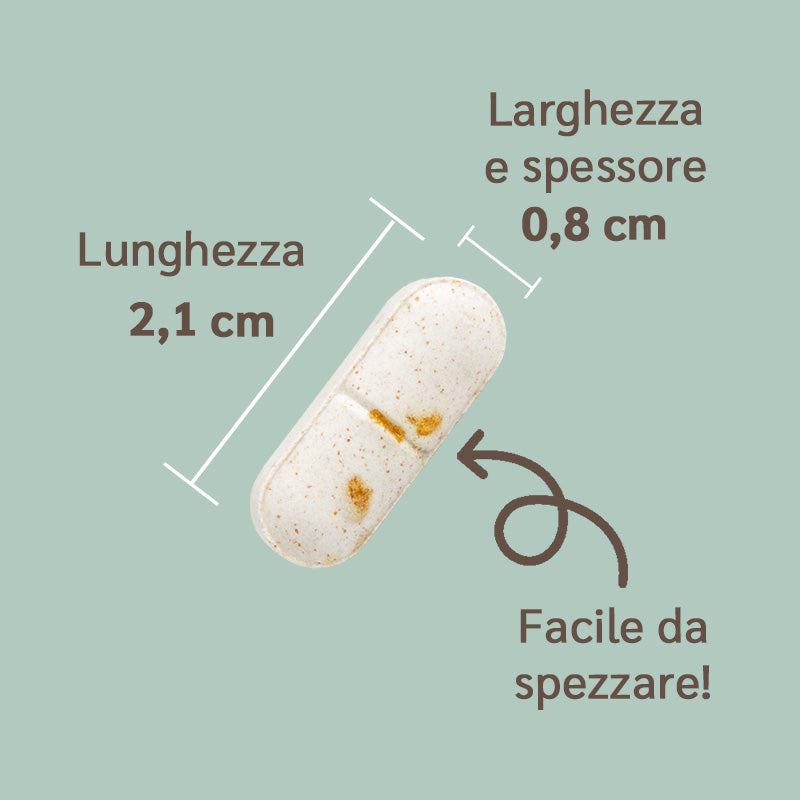 dimensioni integratore articolazioni amusi