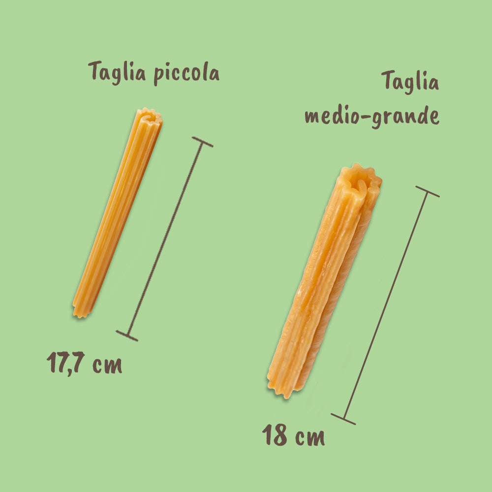 dimensioni masticativi