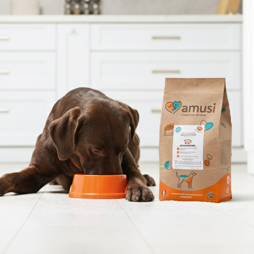 La ricetta per il benessere del tuo pet