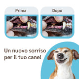 Polvere Dentale per il controllo di placca e tartaro