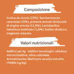 composizione 