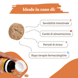 Probiotico Intestinale per Cani